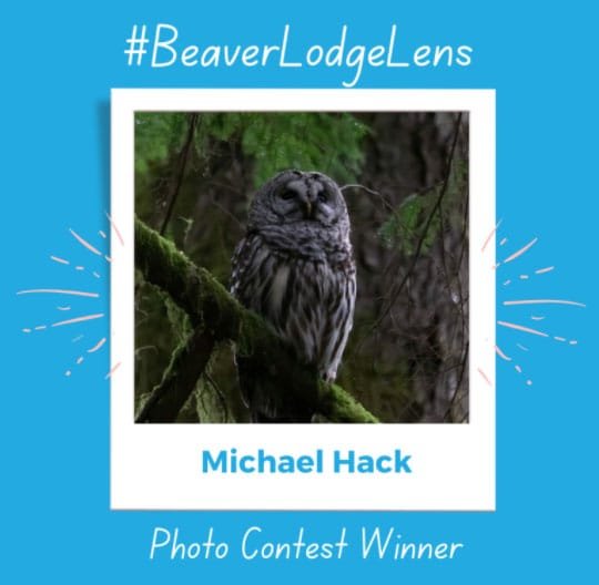Beaverlodge-lens-winner-1