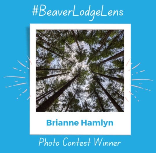 Beaverlodge-lens-winner-2
